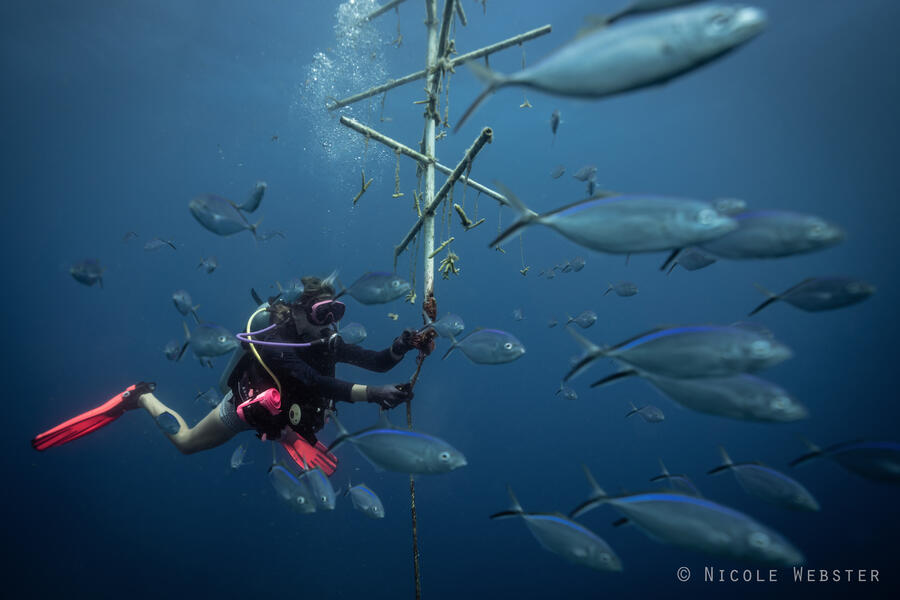 Untitled Untitled
